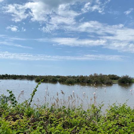 New Jungle Lake - Clim - Wifi - Draps & Serviettes - Bbq - 10' Des Plages Лат Экстерьер фото